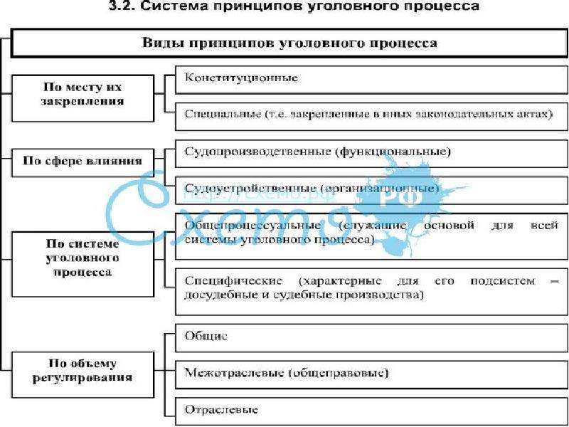 План конституционное судопроизводство обществознание