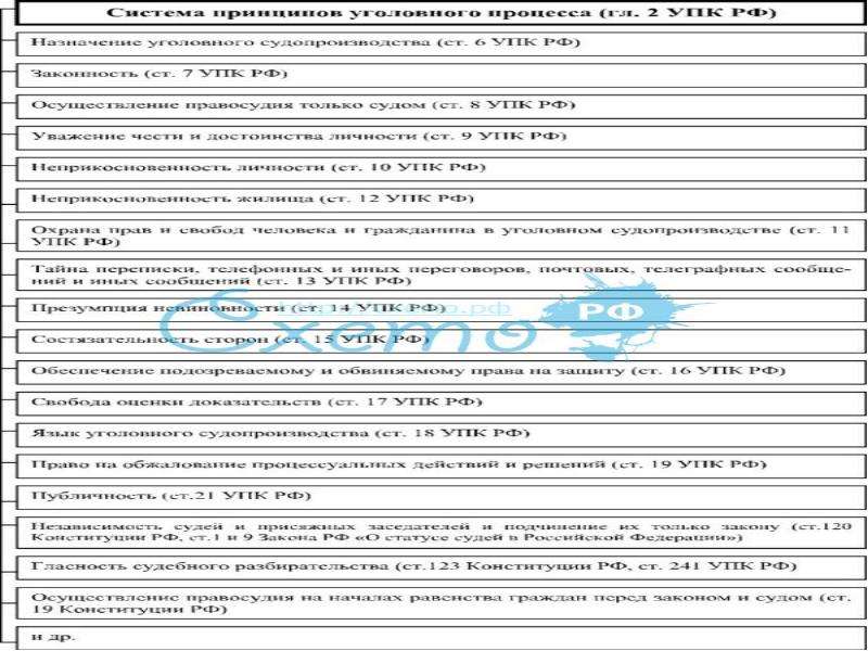 Схема система принципов уголовного судопроизводства
