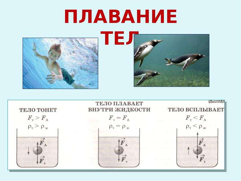 Тело плавает если. Тело плавает внутри жидкости. Когда тело плавает. Тело будет плавать внутри жидкости. Тело плавает внутри жидкости в любом положении если.