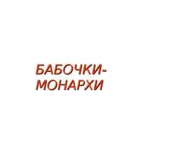 Бабочки-Монархи - презентация к уроку Окружающий мир