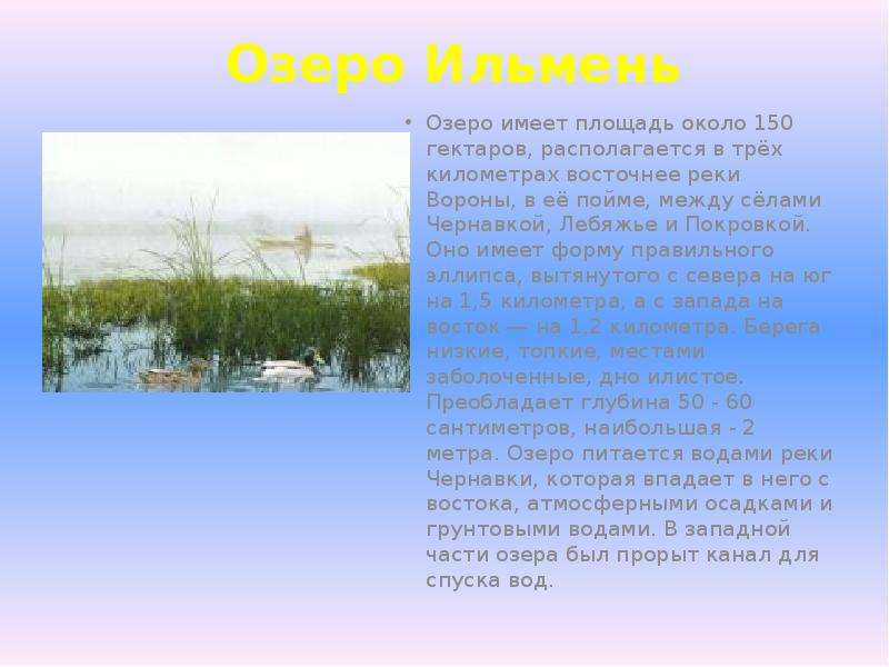 Озеро Ильмень Озеро имеет площадь около 150 гектаров, располагается в трёх километрах восточнее реки
