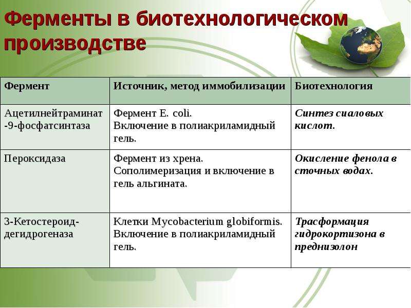 Биотехнологическая схема получения ферментов