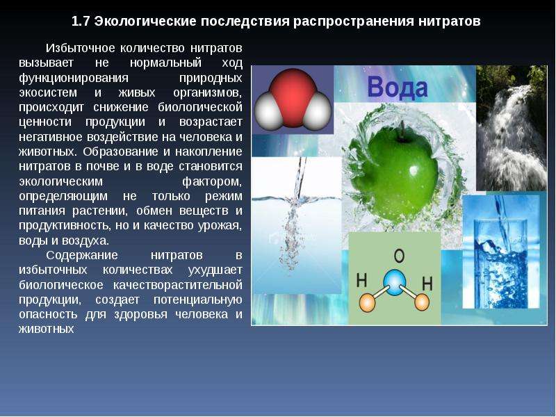 Схема как нитраты попадают в организм человека