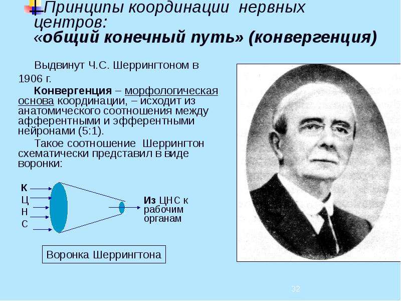 Конечный путь. Принципы координации нервных центров. Принцип воронки Шеррингтона. Воронка Шеррингтона схема. Принцип координации.