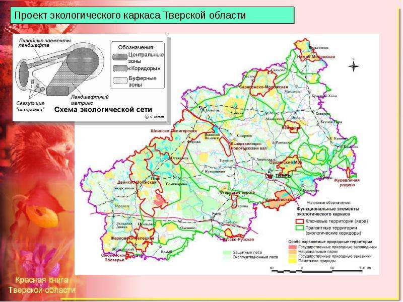 Экологическая карта тверской области