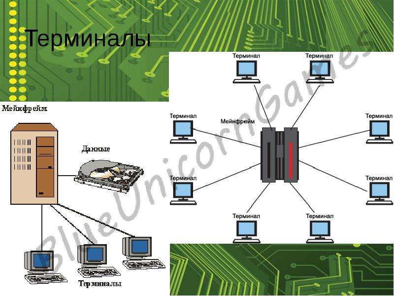 Сеть авторам. Терминал это в информатике. История компьютерных сетей. Компьютерный терминал в информатике. Подкаст-терминал в информатике.