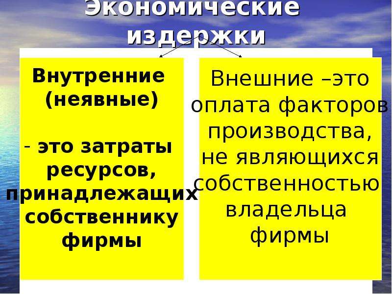 Внешние издержки. Примеры экономических издержек. Внутренние экономические издержки. Внутренние и внешние издержки производства. Экономические издержки это в экономике.