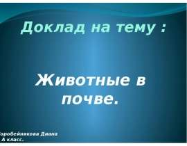Презентация на тему Животные в почве