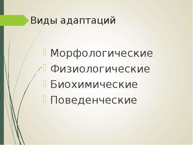 Морфологические физиологические биохимические. Виды морфологических адаптаций. Виды адаптации морфологическая физиологическая. Морфологические физиологические и поведенческие адаптации. Биохимические, физиологические и морфологические адаптации.