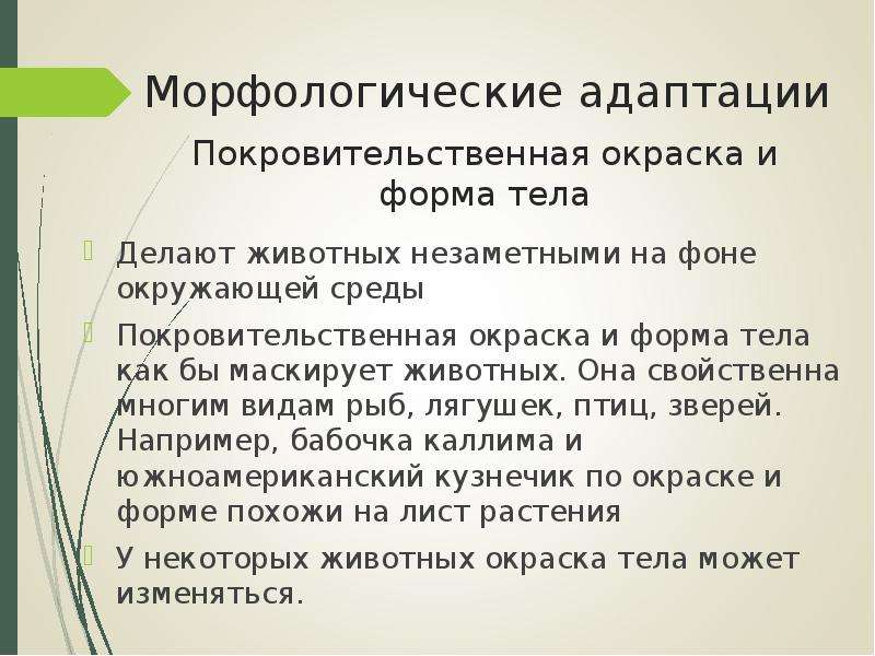 Морфологические адаптации. Морфологические адаптации лягушки. Морфологические адаптации птиц. Морфологические адаптации рыб.