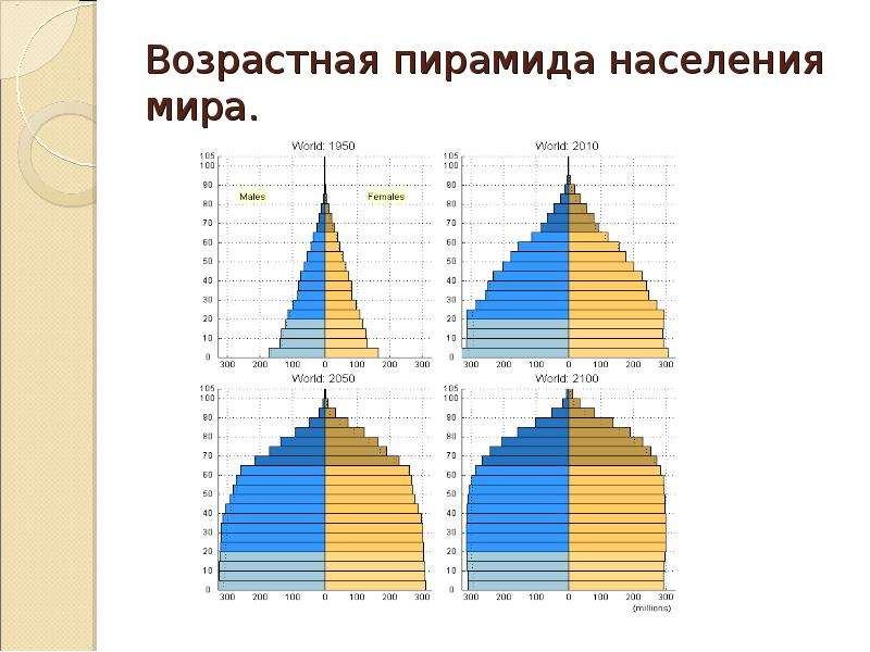 План описания половозрастной пирамиды населения