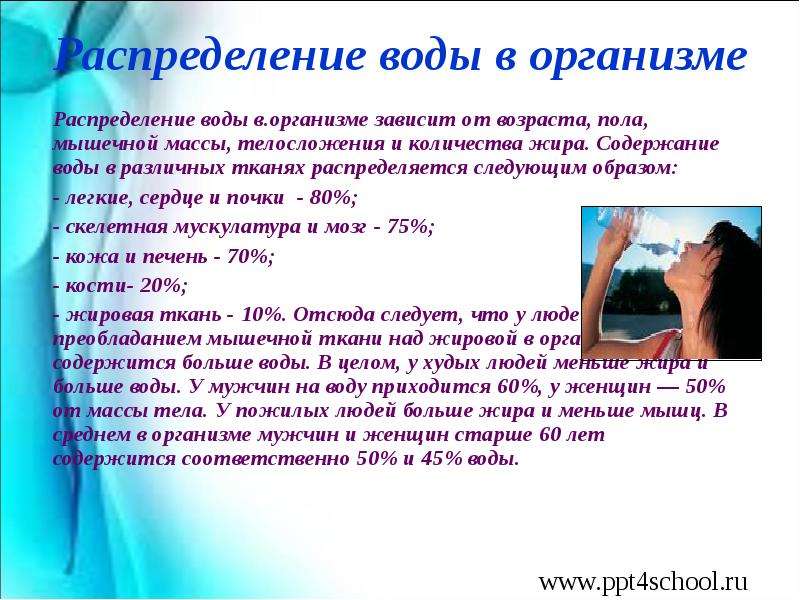 Жидкость занимает. Распределение воды в организме. Распределение воды в тканях. Как вода распределяется в организме. Содержание воды в организме и ее распределение..