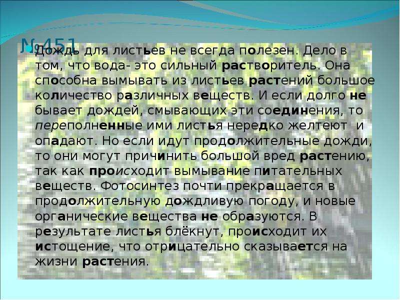 Всегда полезные. Рассуждение на тему дождь. Польза дождя. Чем полезна дождевая вода. Чем полезен дождь.