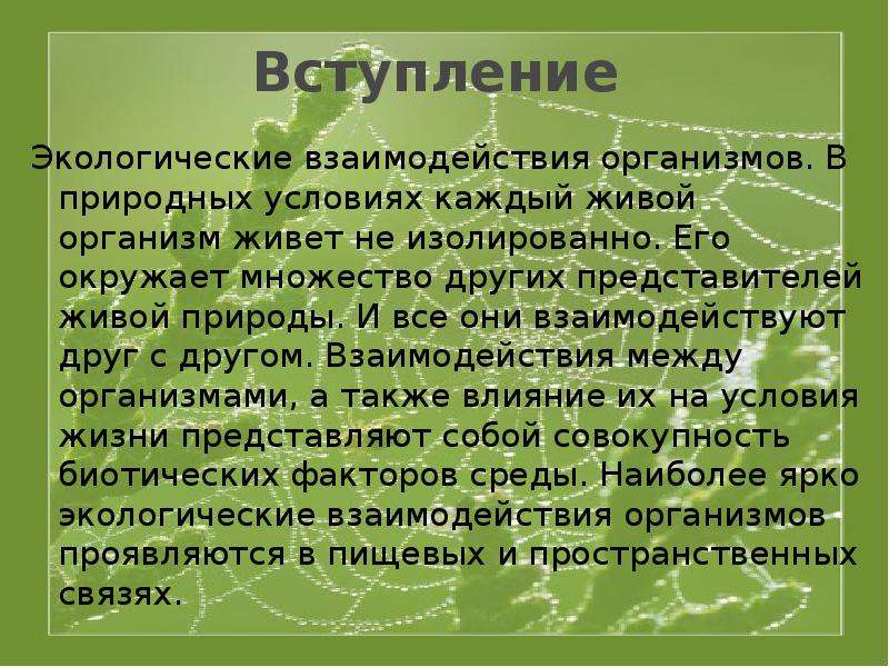 Экологические взаимодействия организмов презентация