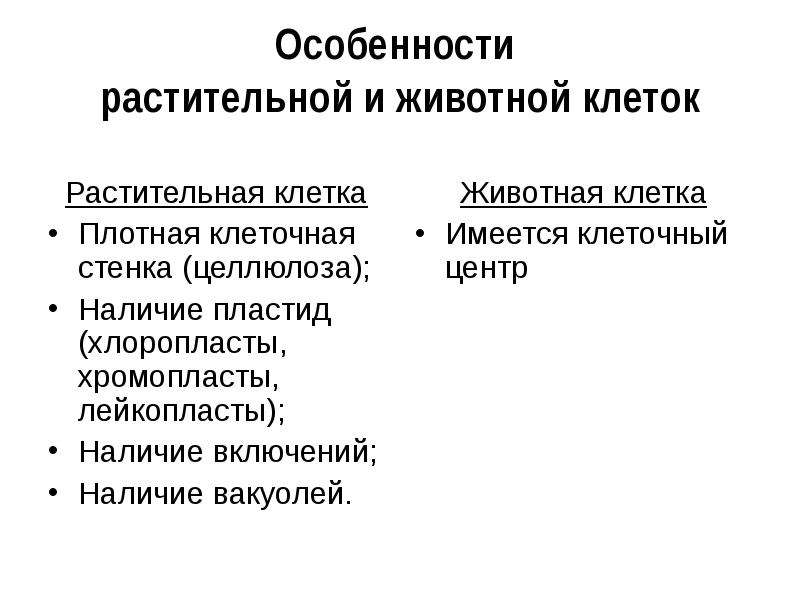 Наличие включений. Особенности растительной клетки.