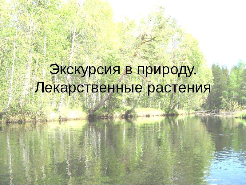 Проект экскурсия в природу