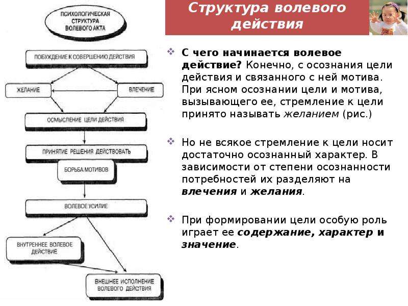 Волевое действие схема