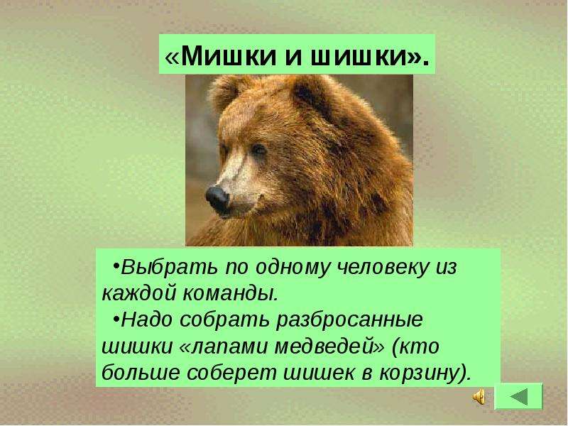 Надо собрать. Мишка показал шишку. Шишки от мишки. Мишки шалунишки разбросали шишки.