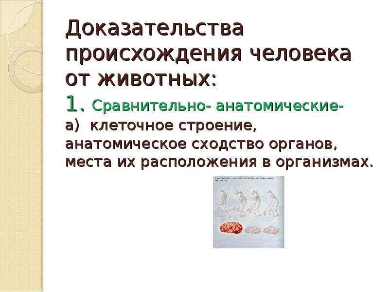 Человек животное доказательство. Сравнительно-анатомические доказательства происхождения человека. Доказательства происхождения человека от животных. Этологические доказательства происхождения человека от животных. Доказательство происхождения человека от животных сравнительно Анат.