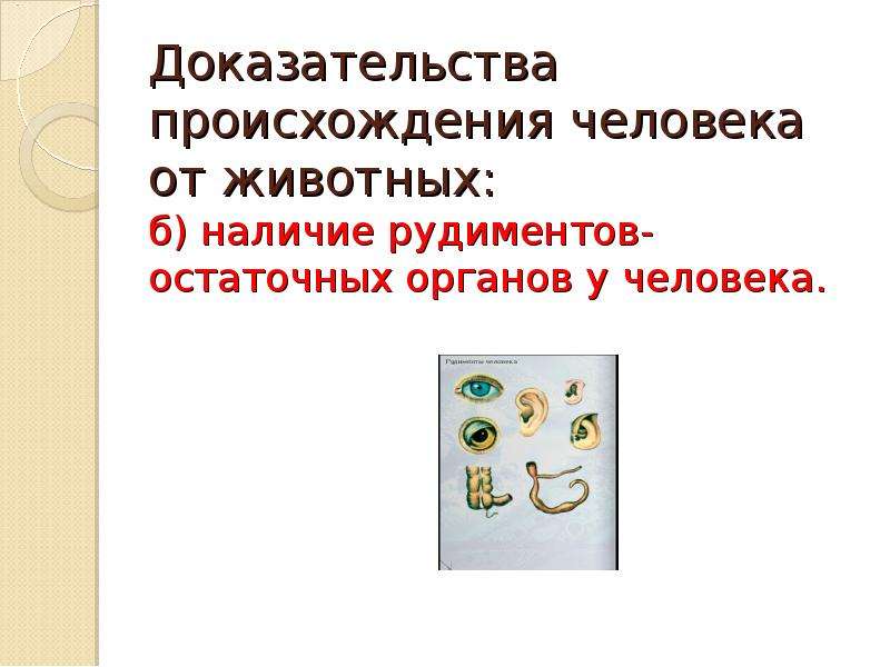 Доказательства происхождения человека от животных презентация 11 класс