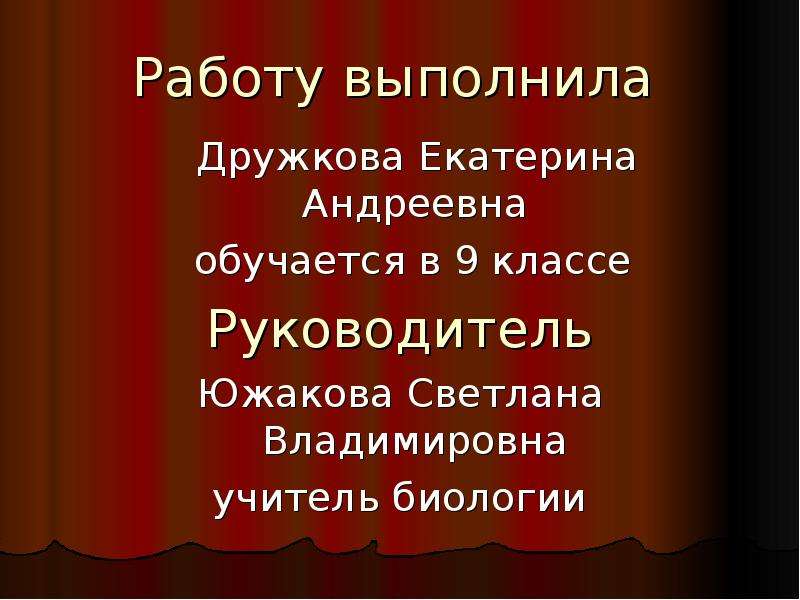 Тема состояние. Дружкова Екатерина Владимировна.