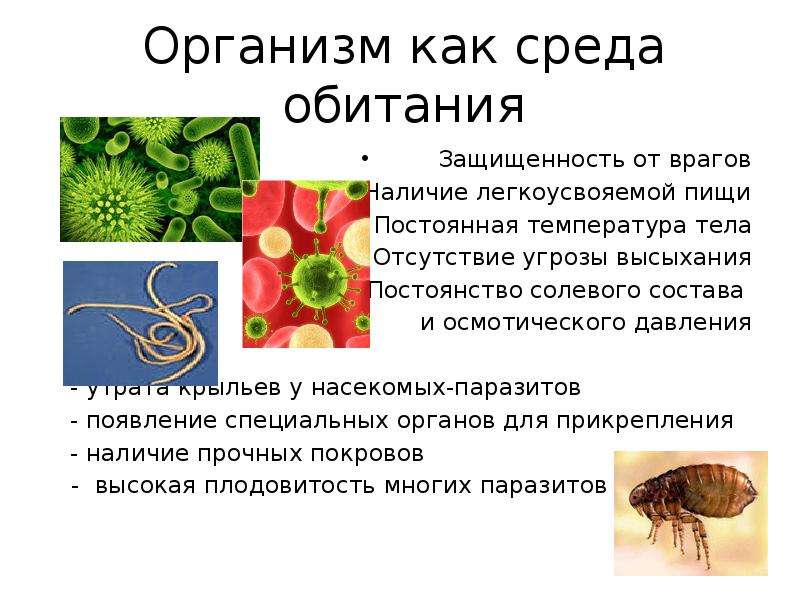 Информация о живых организмах