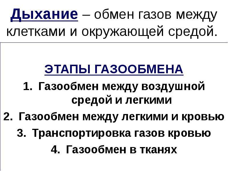 Дыхание в тканях. Этапы газообмена. Стадии газообмена. Газообмен между воздушной средой и легкими. Дыхание этапы газообмена.