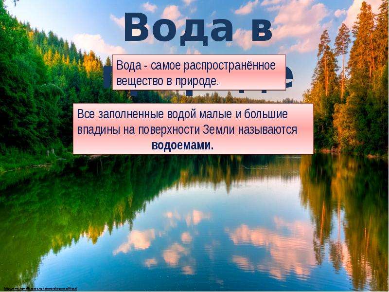 Презентация на воде и в лесу