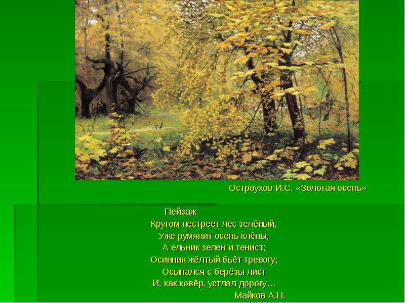 Рассмотрите рисунок 107 учебника объясните почему вначале развивается березовый лес а затем ельник