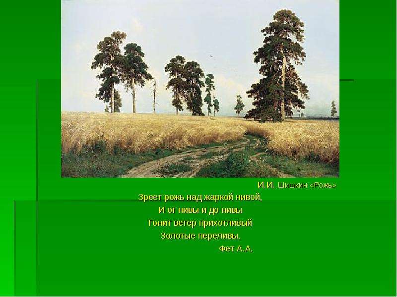 Рожь над нивой. Афанасий Афанасьевич Фет зреет рожь. Фет рожь Шишкин. А А Фет Золотая рожь. Зреет рожь над жаркой Нивой Фет.