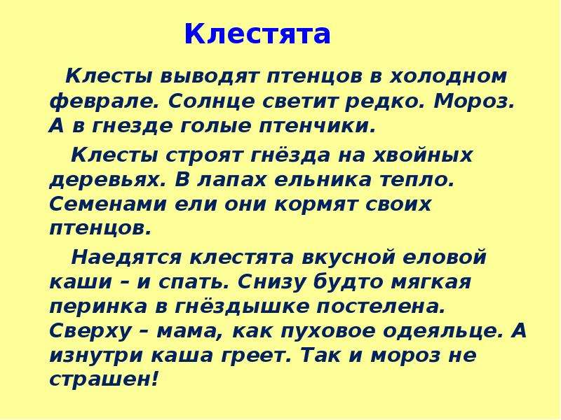 Они выводят. Изложение 3 класс 2 четверть школа России клесты. Изложение Клестята. Клесты изложение 3 класс. Клесты выводят птенцов в холодном феврале солнце светит редко.