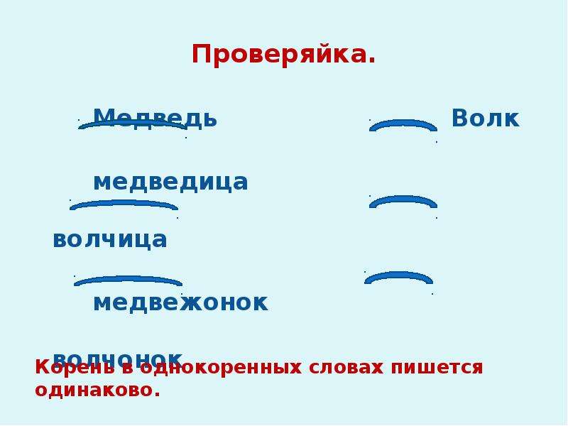 Медведица корень. Корень в слове медведь и Медведица. Корень слова медведь. Корень в слове медведь и Медвежонок. Корень в слове Медведица и Медвежонок.