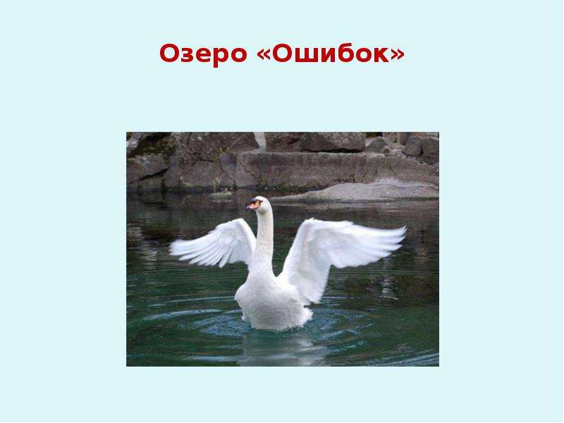 Озеро ошибок. Исправь ошибки озеро белое.