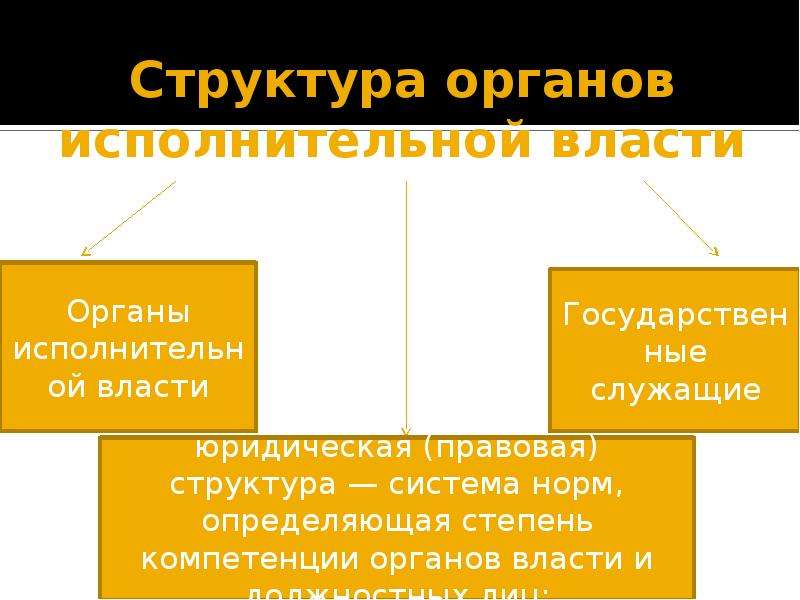 Исполнитель власти