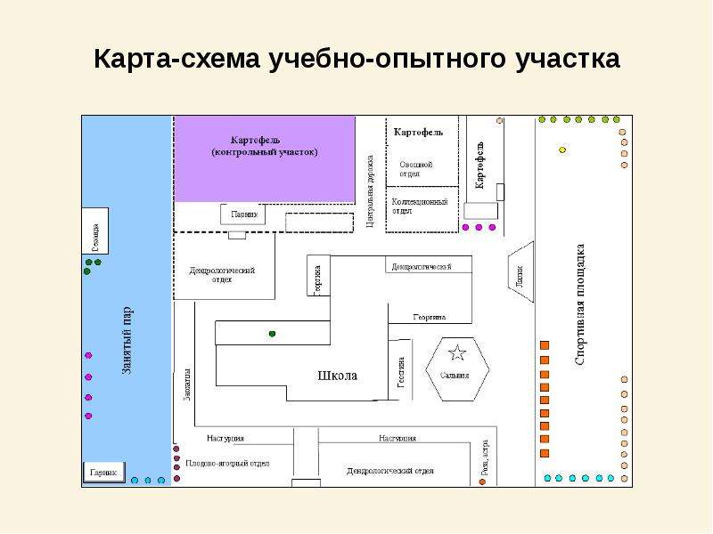 План работы учебно опытного участка