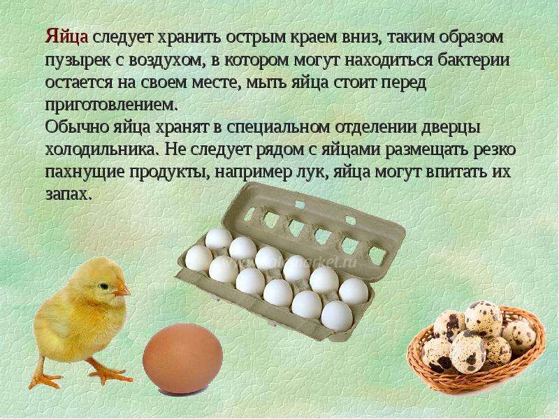 Сколько хранить домашнее яйцо. Способы хранения яиц. Способы хранения яиц в холодильнике. Хранение куриных яиц. Способы хранения яиц без холодильника.