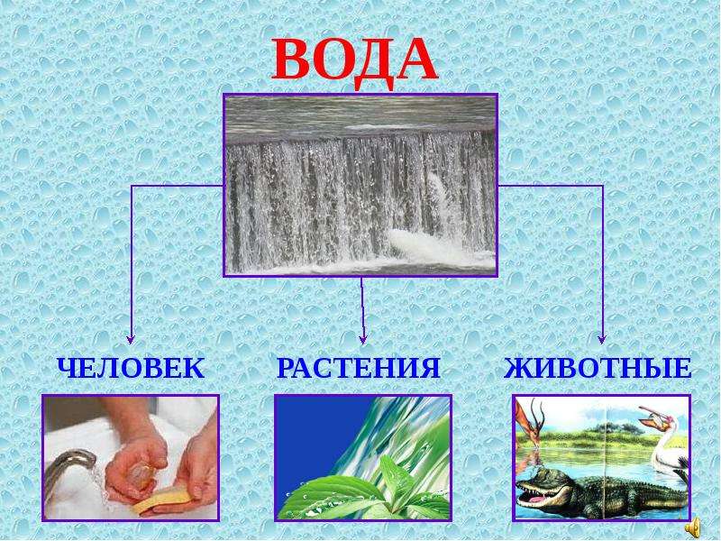 Для чего нужна вода презентация для дошкольников