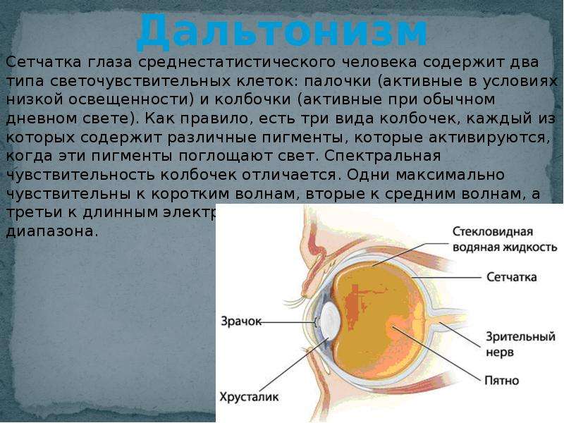 Дальтонизм презентация по биологии