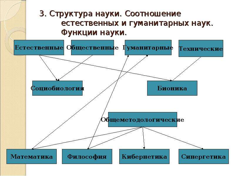 Естественная структура. Структура науки и ее функции. Структура естественных наук. Структура гуманитарных наук. Структура науки схема.