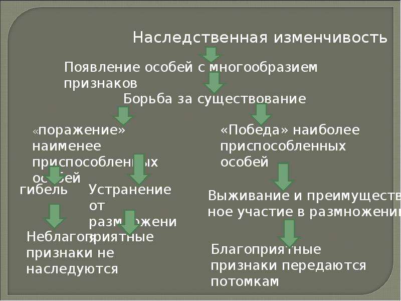 Появление особей. Признаки появления особей с перекомбинированными признаками.