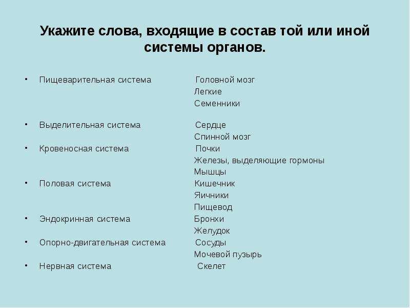 Органы и системы органов животных 6 класс. Системы органов животных 6 класс. Укажите слова входящие в состав той или иной системы органов. Биология 6 класс органы и системы органов животных.