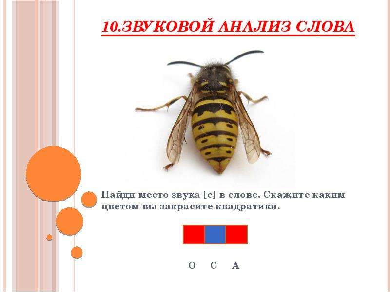 Скажи каким цветом. Осы звуковой анализ. Анализ слова осы. Звуковой анализ слова Ромашка. Звуковой анализ Муха.