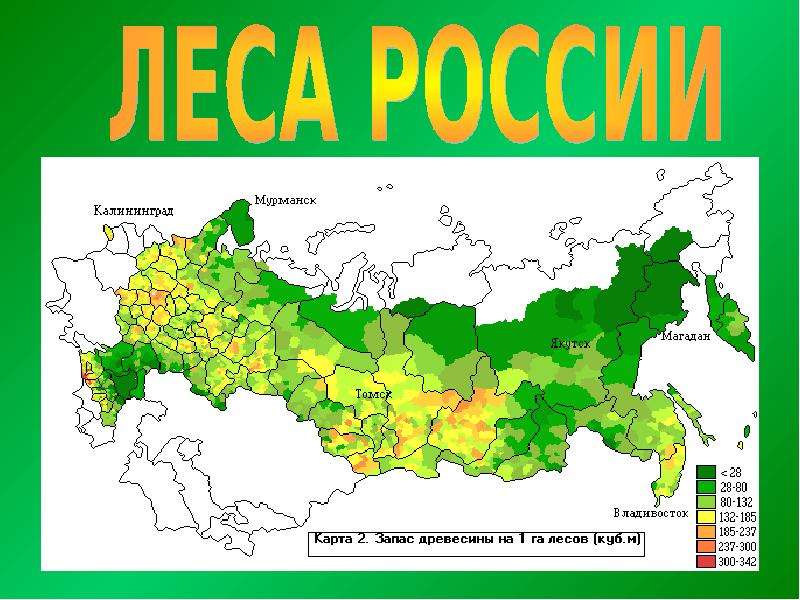 Карта сосновых лесов россии