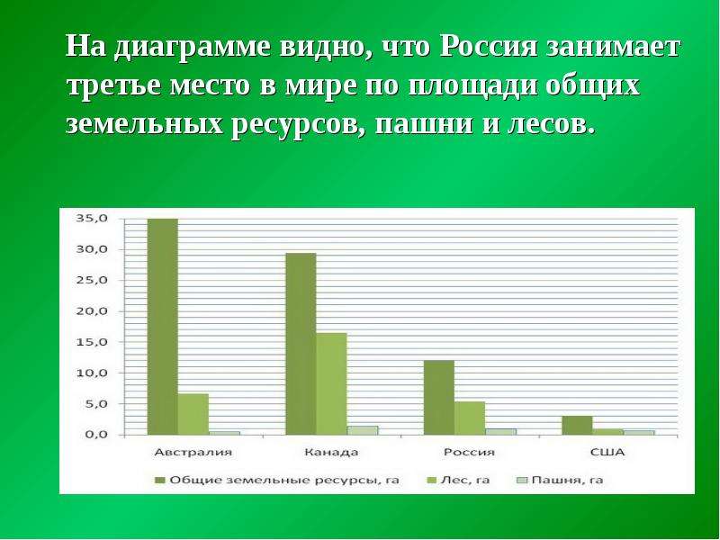 Занимала третье. Диаграмма площадей лесов. Лесные ресурсы диаграмма. Диаграмма леса в России. Диаграмма леса в мире.