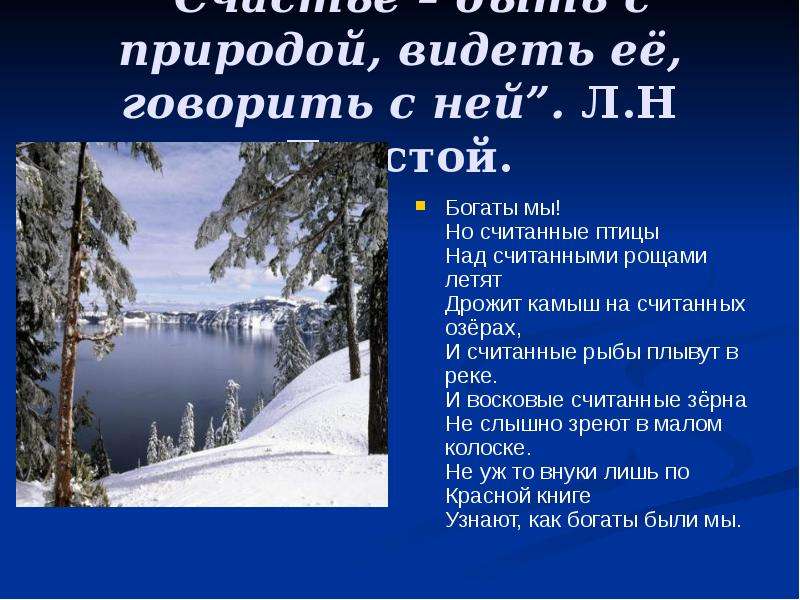 Что дает человеку видеть природу. Богаты мы но считанные птицы над считанными рощами летят.