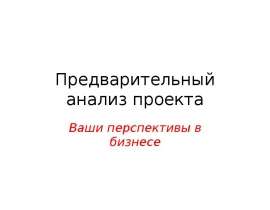 Предварительный анализ проекта Ваши перспективы в бизнесе