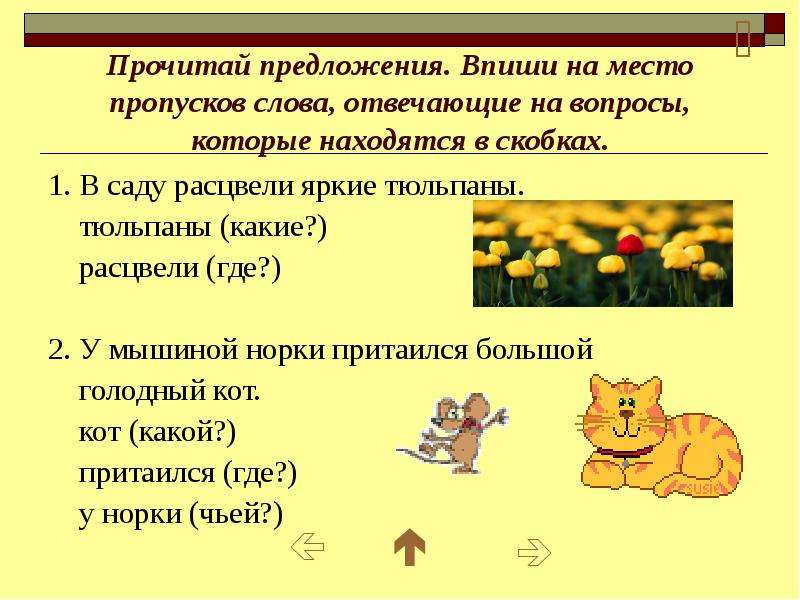 Прочитай предложение какие. Предложение со словом тюльпан. Придумать предложение со словом тюльпан. Предложение со словом расцвести. Предложение со словом процветающий.