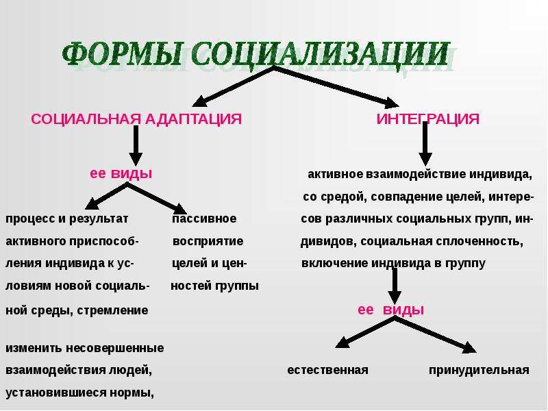 Виды социализации. Социализация и адаптация. Формы социализации. Социальная адаптация личности. Социализация виды и формы.