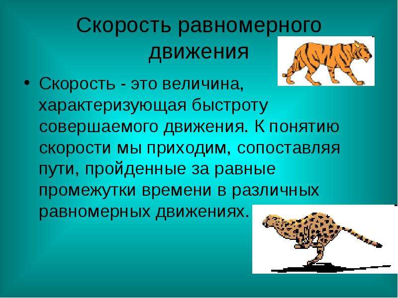 Какие движения совершает. Какие движения совершают животные и почему. Прямолинейное животное. Интересные факты о скорости движения человека доклад. Предел скорости человека.