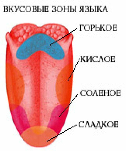 Вкусовой анализатор фото